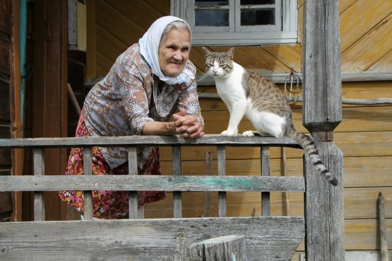 Коти – найкращі лікарі серед тварин