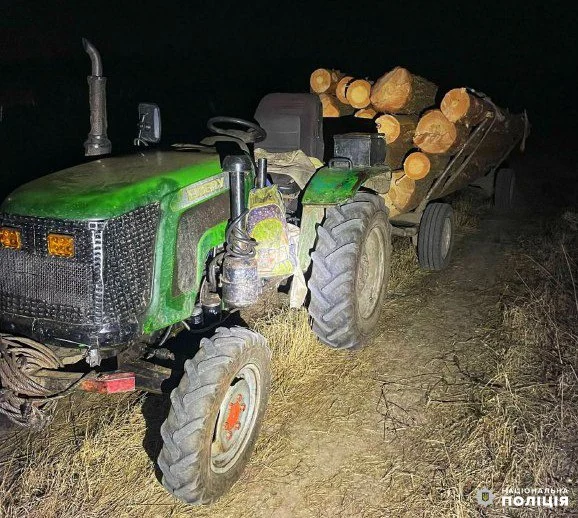 Незаконну порубку лісу виявили на Рівненщині - фото 1