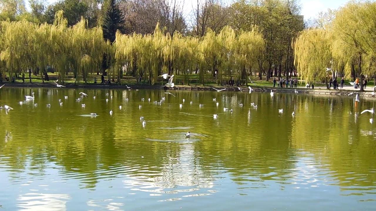 Не обов’язково далеко: куди їхати за емоціями - фото 4