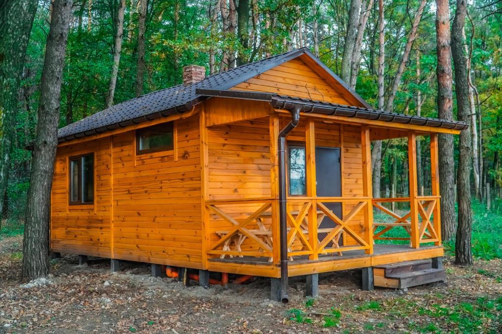 Не обов’язково далеко: куди їхати за емоціями - фото 16