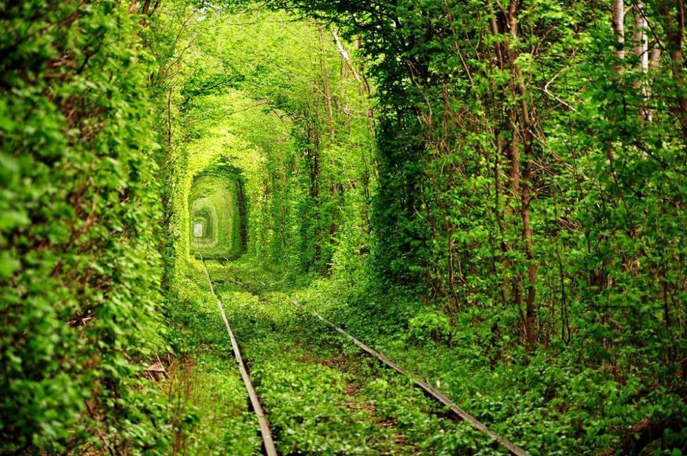 Не обов’язково далеко: куди їхати за емоціями - фото 21