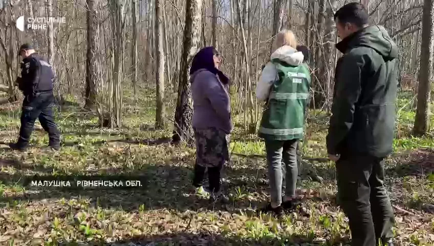 За збір і продаж черемші на Рівненщині оштрафували двох людей - фото 2