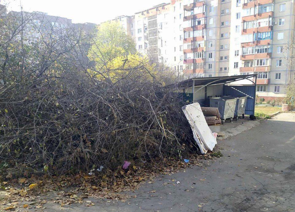 Побутове сміття у Рівному вивозять за графіком, а обрізане гілля – за окрему плату