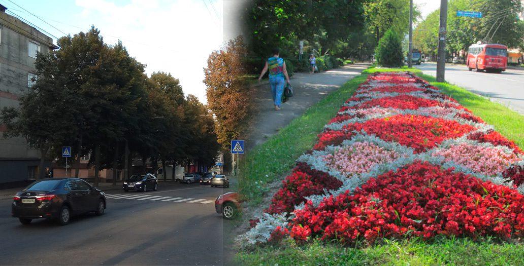 Дерева в місті: місія, яку можна втілити лише разом