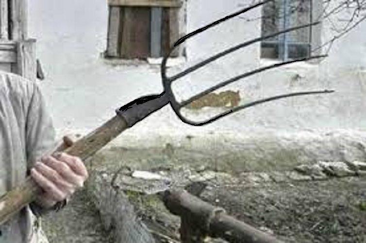 Із вилами на брата - і потрапив в ізолятор тимчасового тримання