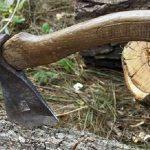 У лісах Рівненщини виявили незаконну вирубку. Порушника знайшли, збитки оцінили Сокира і зрубане дерево.