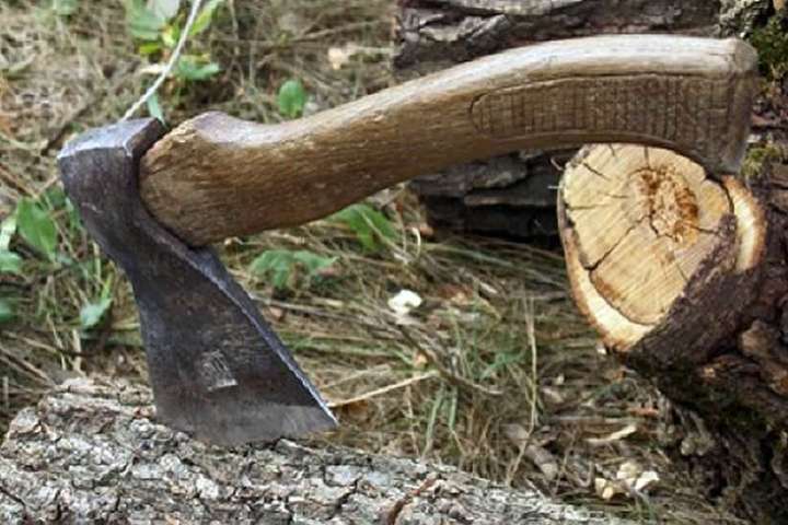 На Костопільщині затримали лісопорушників під час спроби вивезення деревини