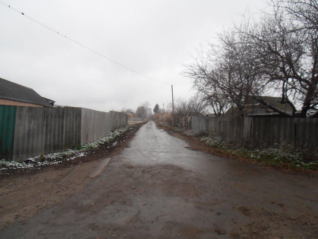 На Рівненщині скуповували горіхи, а вкрали гроші