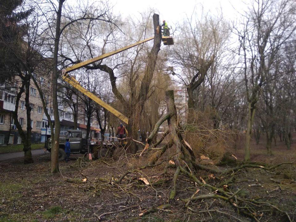 Рівне готують до весни: трест зеленого господарства прибирає місто