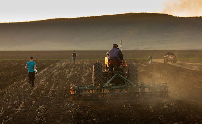 В Україні скасували мораторій на продаж сільгоспземель
