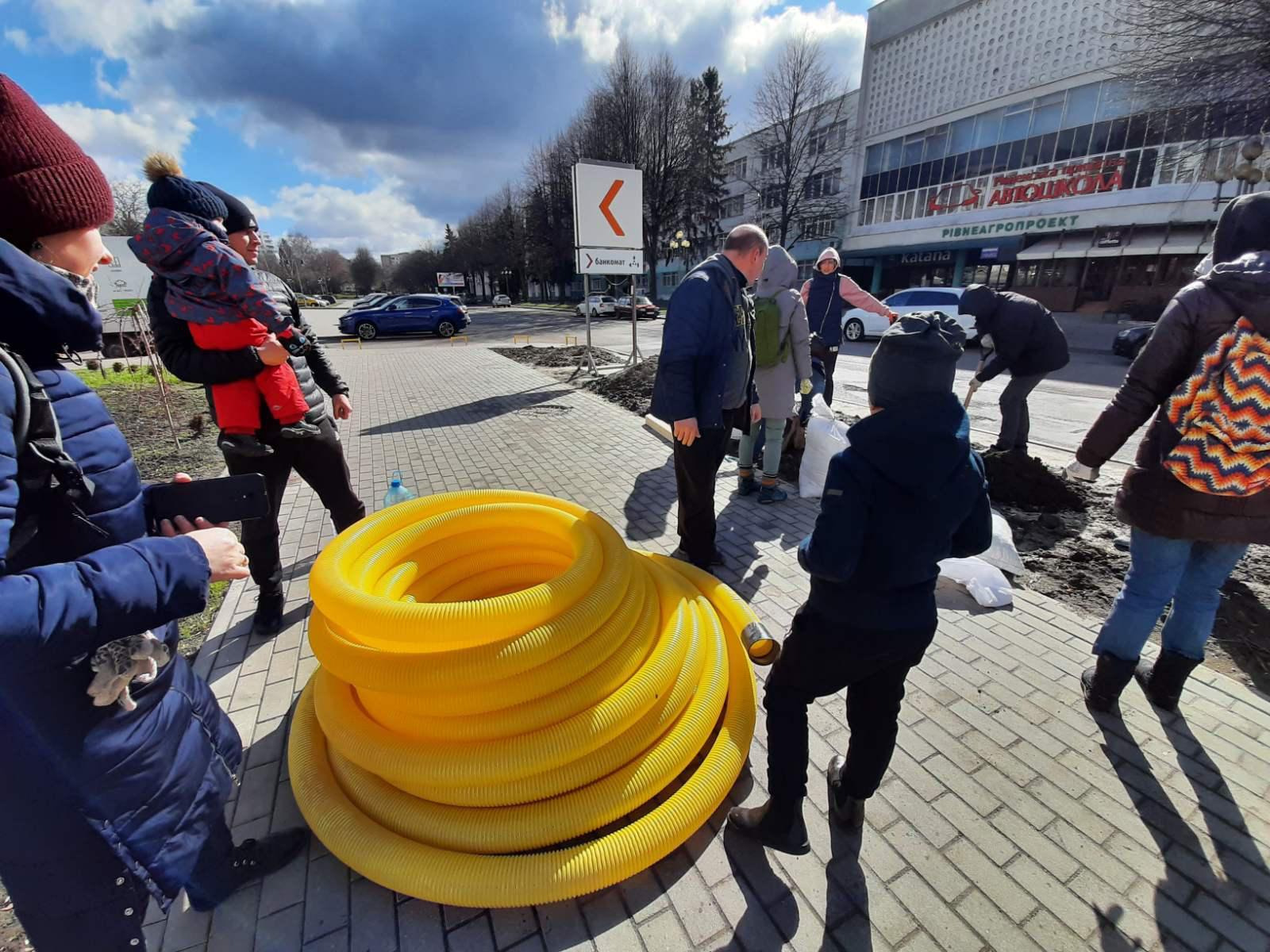 Тюльпанові дерева порадують рівнян красою