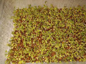 IMG_20191102_201429