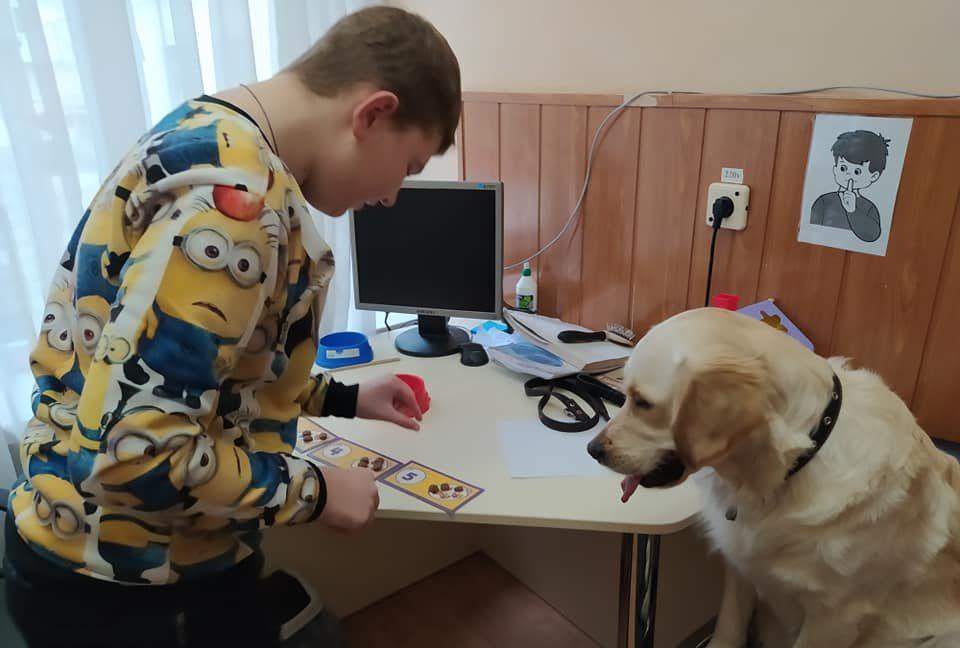 Чотирилапі терапевти допомагають знизити рівень гормону стресу
