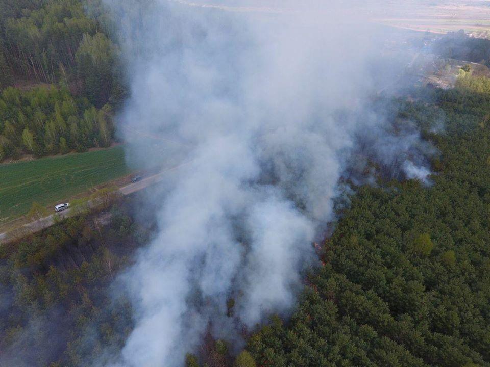 На Дубенщині горів ліс