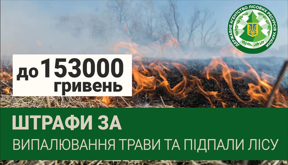 На Рівненщині лісівники знову рятували ліс від вогню