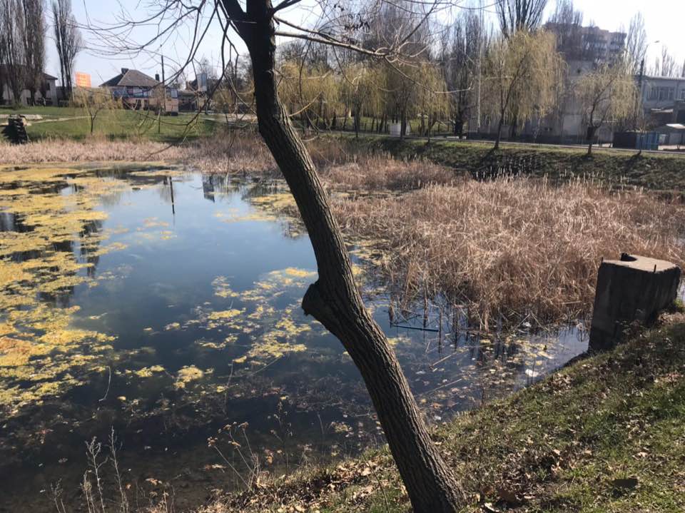 Рівняни розчистили озерце у парку “Хімік”