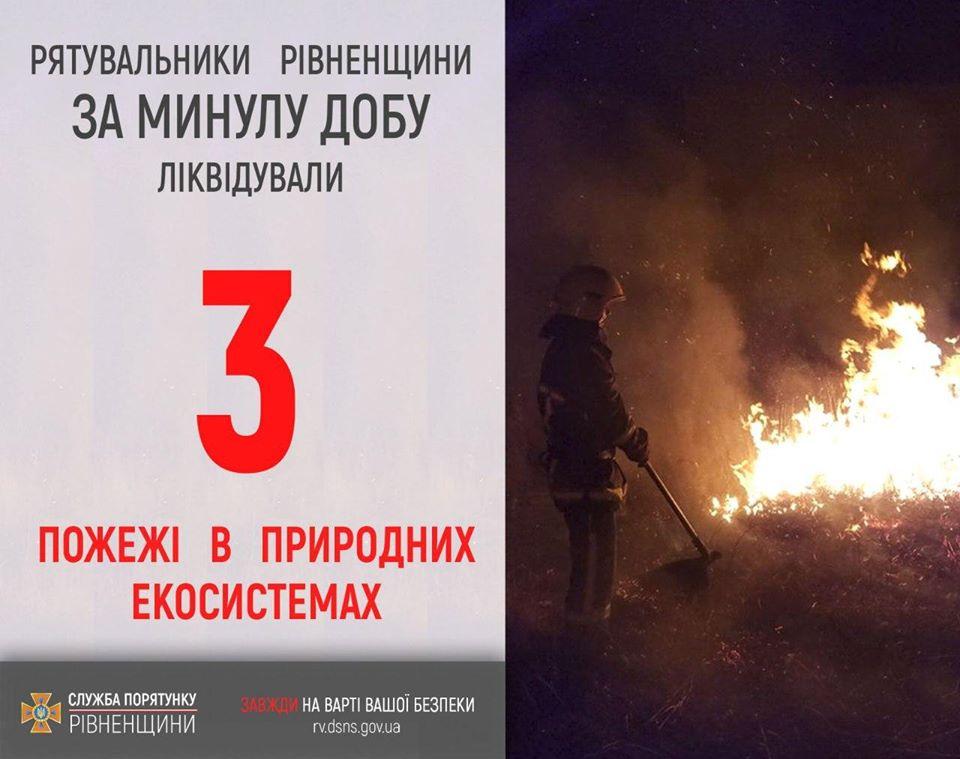 Вчора на Поліссі сталося три пожежі сухостою