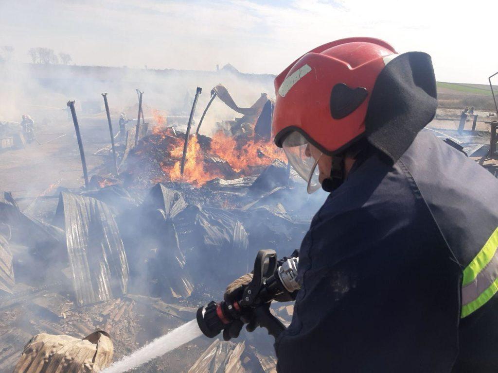 На Рівненщині палії продовжують нищити екосистеми