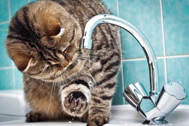 У Рівному в районі автовокзалу відключатимуть воду
