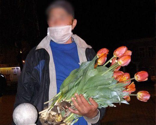 У Рівному знову зловили крадія тюльпанів