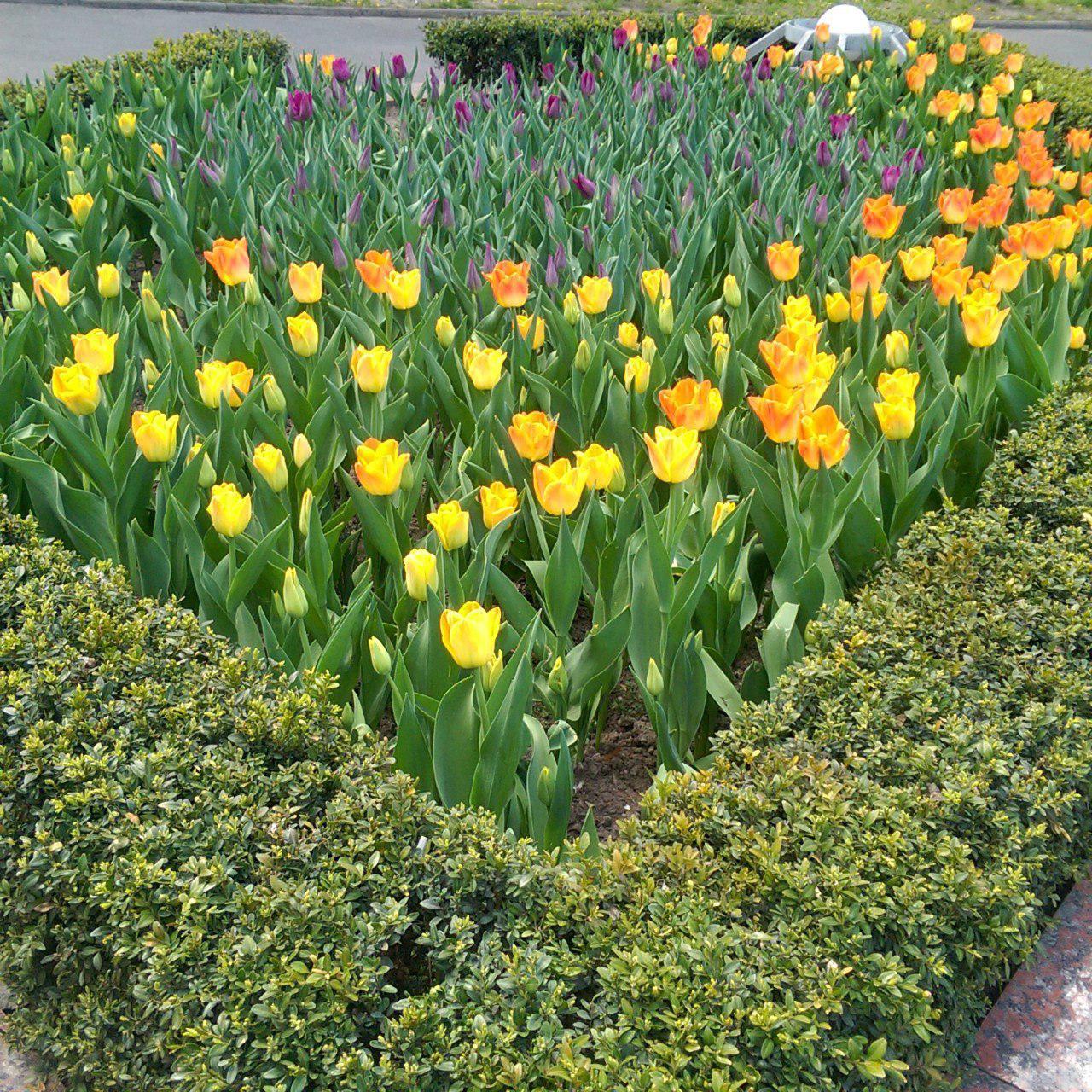 Сьогодні радять не перевтомлюватися Сьогодні радять не перевтомлюватися