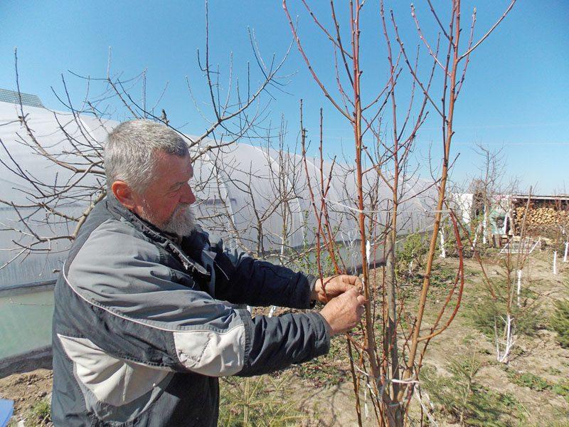 Диво-сад Віталія Чати: до Корця приїжджають звідусіль не лише у монастир