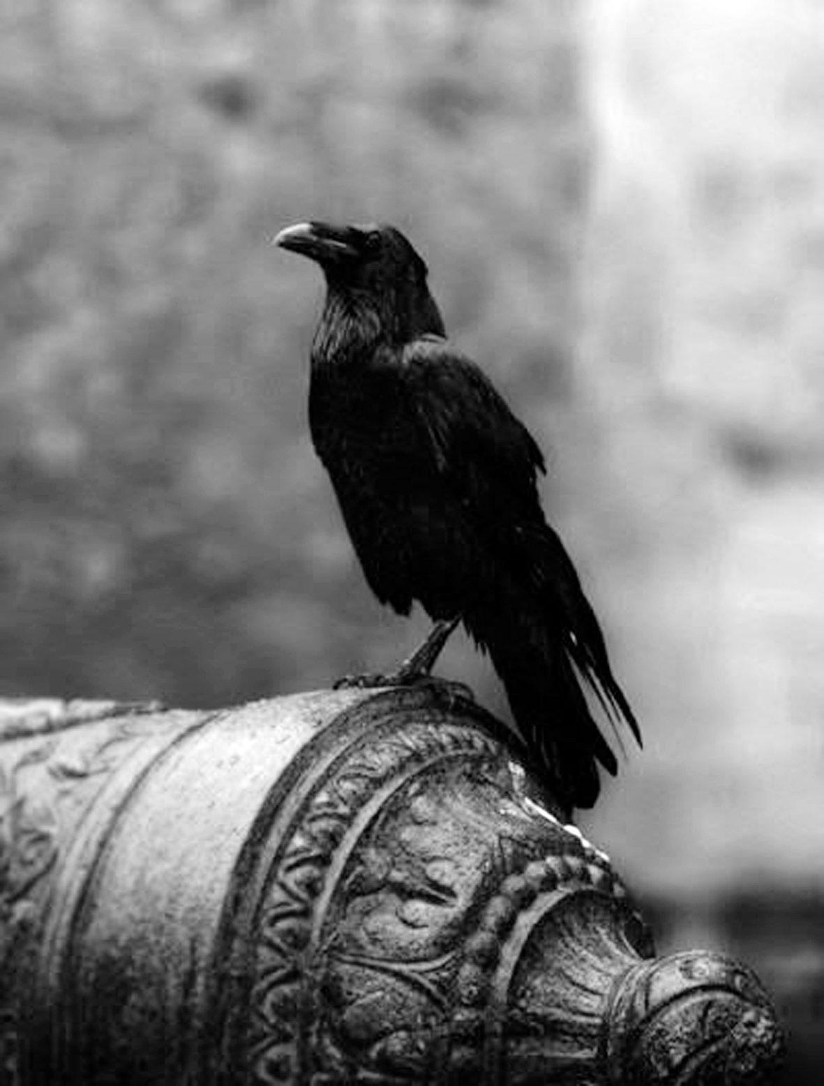 Прокляття повертається до того, хто кляне Прокляття повертається до того, хто кляне