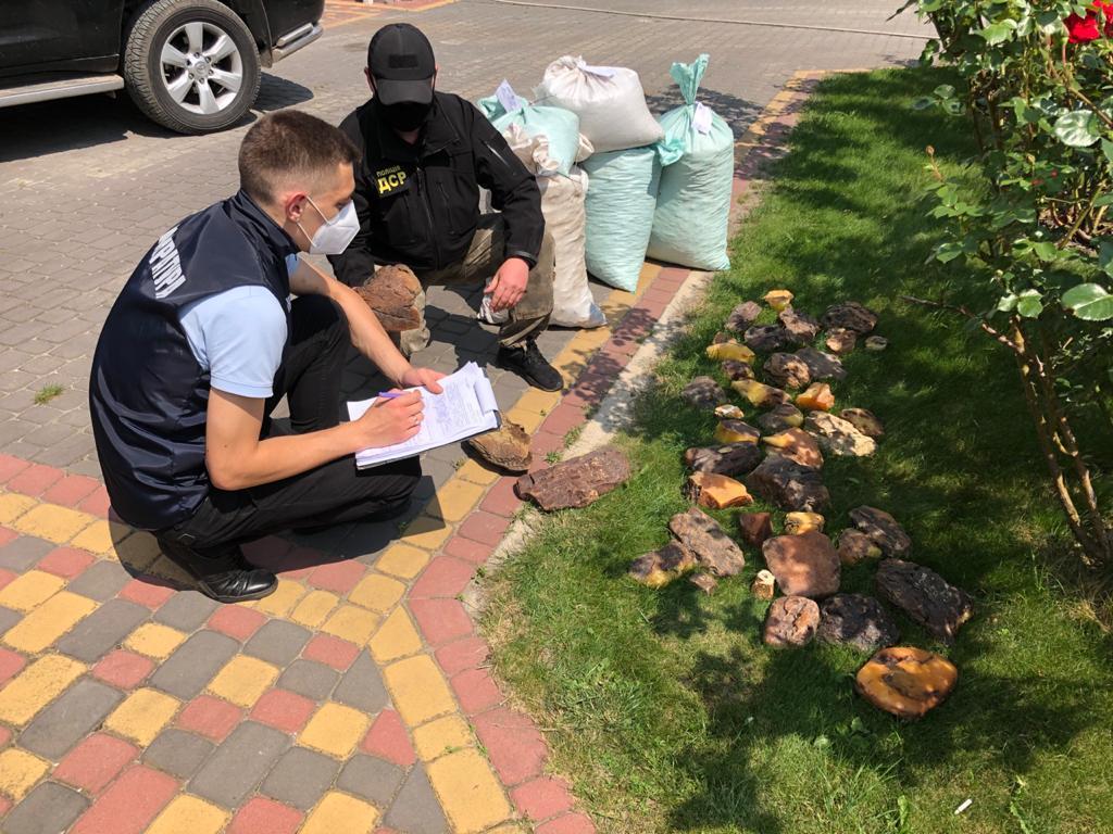 У двох братів на Рівненщині бурштину вилучили на 30 млн (Фото)