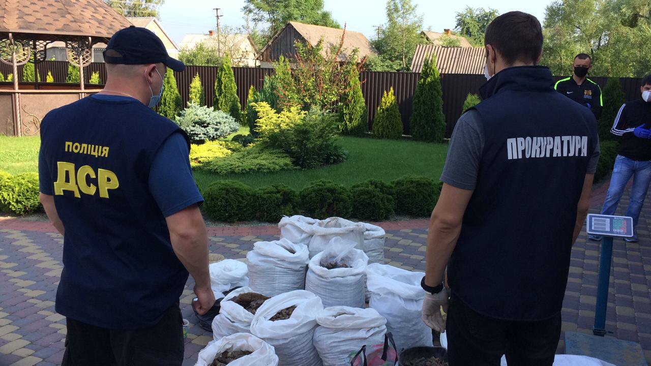 У двох братів на Рівненщині бурштину вилучили на 30 млн (Фото)