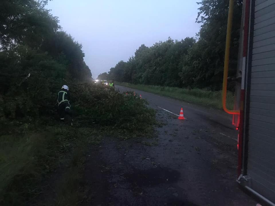 Рятувальники розчищали автошляхи внаслідок сильних вітрів