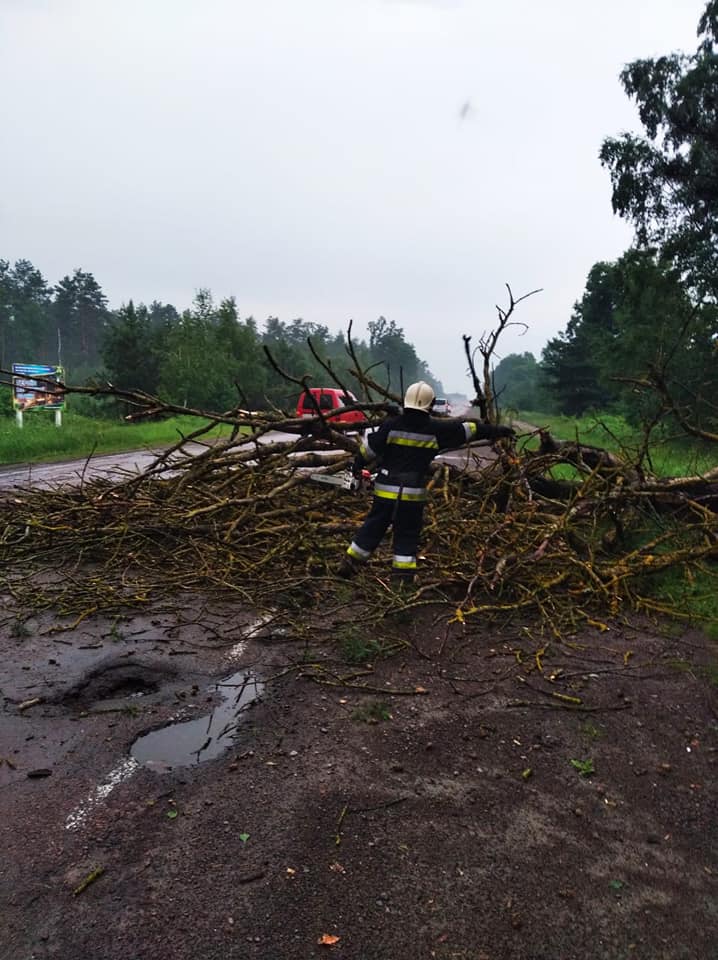 В Немовичах рятувальники очищали автошляхи від повалених дерев
