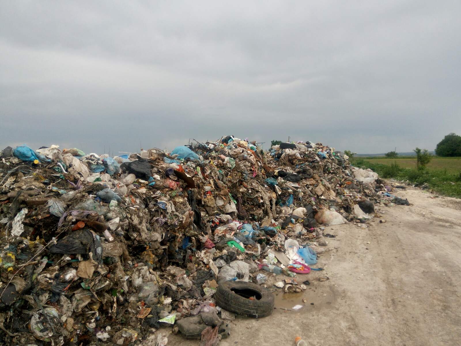 В Рівному вивезення сміття подорожчає