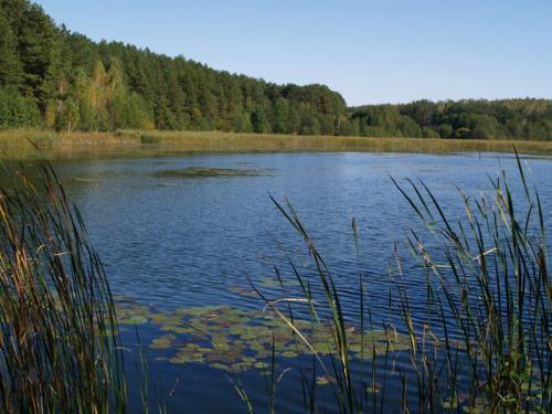 У 2020-му на водоймах Рівненщині потонуло 12 людей