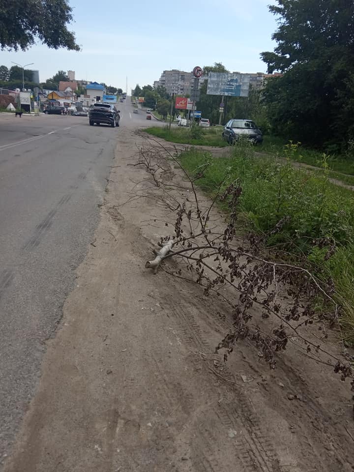 Продавці рівненського авторинку створюють аварійну ситуацію