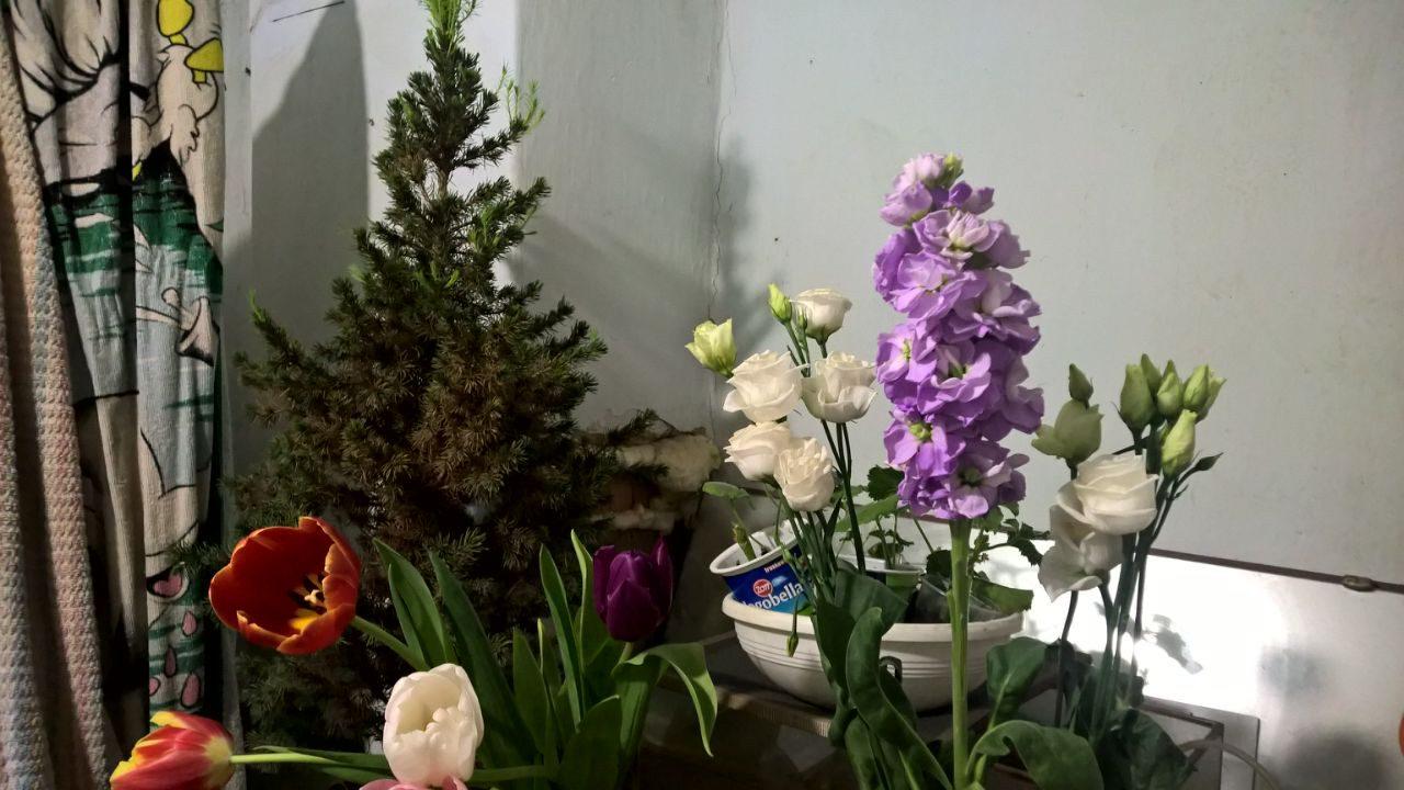 Саме сьогодні середина літа