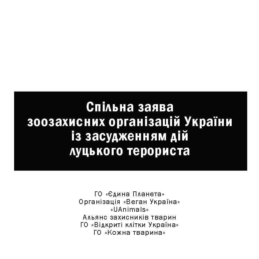 Зоозахисники України засудили дії луцького терориста