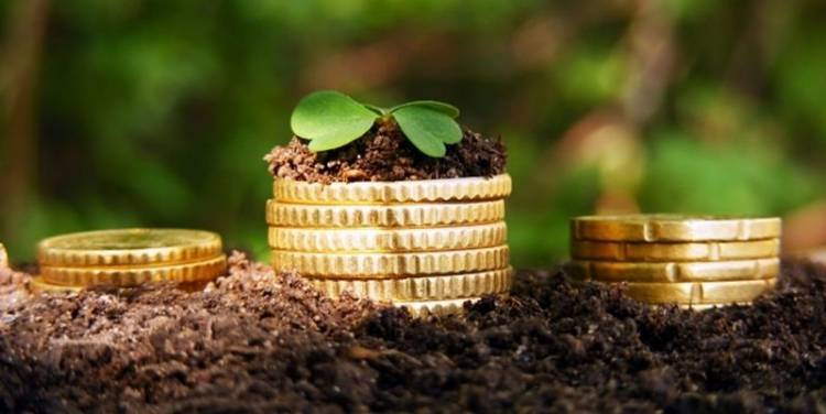 Лідерами зі сплати екоподатку є бізнес-спільнота Рівненського та Здолбунівського районів