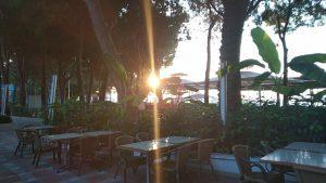 IMG_20200804_062757