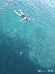 IMG_20200804_084511
