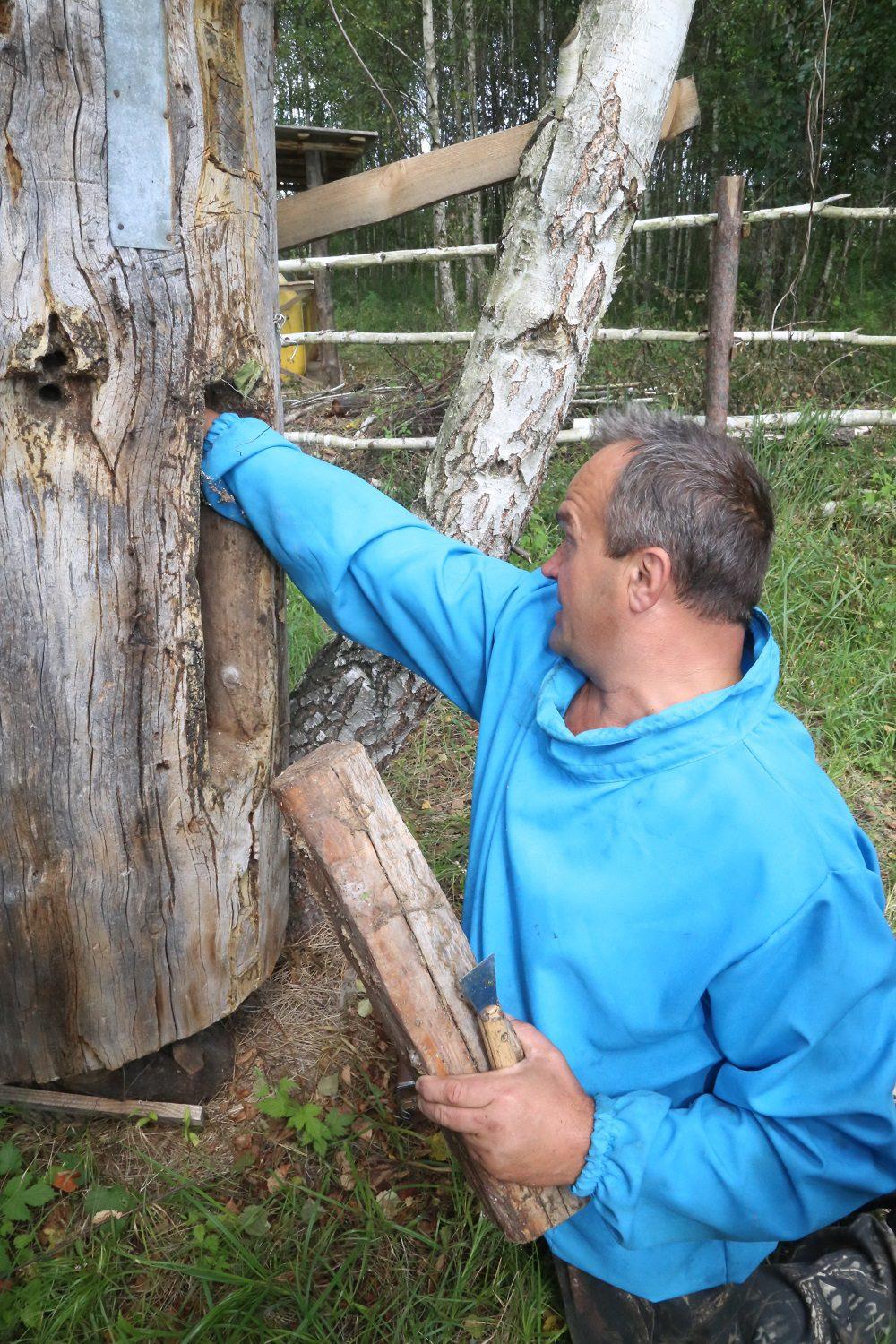 На Рівненщині презентували Національний проект зі збереження бортництва (ФОТО)
