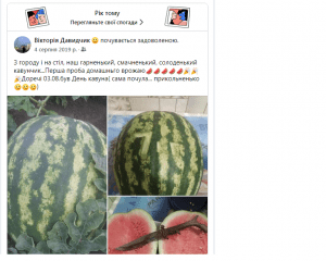 кавун