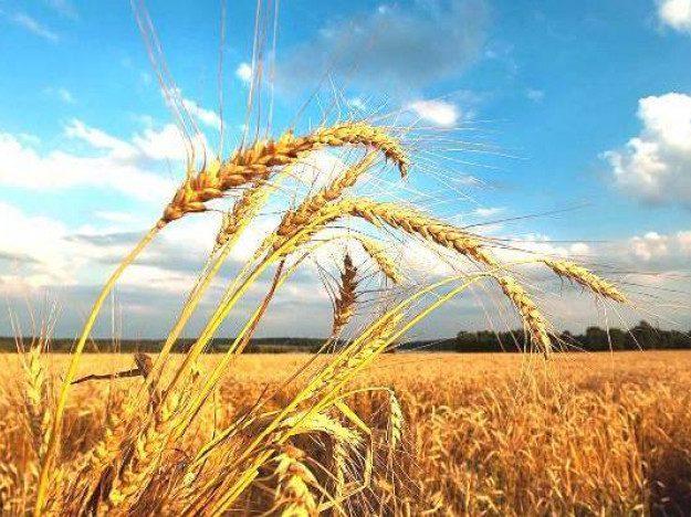 Сьогодні можна починати будь-які серйозні справи