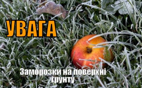 На Рівненщині прогнозують заморозки на поверхні грунту до -2°