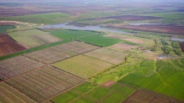 Земельну ділянку вартістю понад 2 млн повернули громаді на Рівненщині