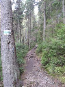 IMG_20201023_104540