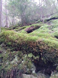 IMG_20201023_104927