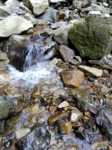 IMG_20201023_105256