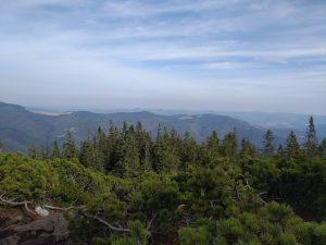 IMG_20201023_134419