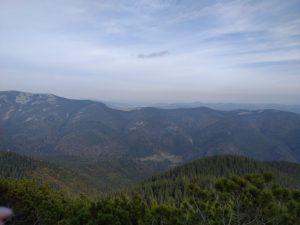 IMG_20201023_135316