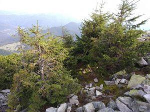 IMG_20201023_140800
